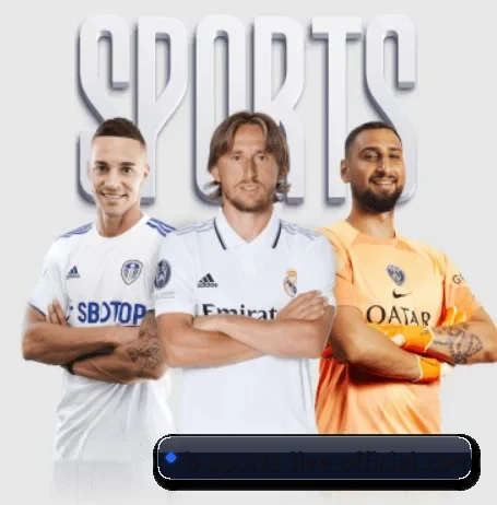 B体育 官方入口、APP下载与帮助中心界面 - bsports