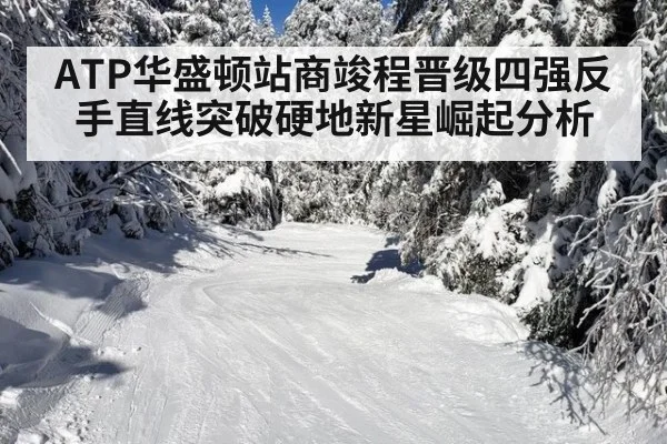 ATP华盛顿站商竣程晋级四强反手直线突破硬地新星崛起分析（bsports）